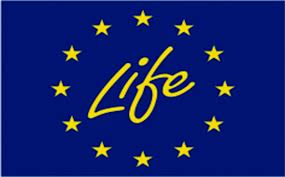 Logo_life